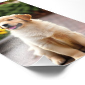 ゴールデンレトリエバーパピーサテンの写真の拡大 フォトプリント            (角)