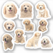 ゴールデンレトリエバーパピーズのコレクション シール (正面)