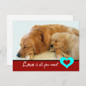 ゴールデンレトリエバーパピーラブ ポストカード (正面/裏面)