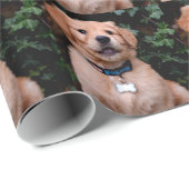 ゴールデンレトリエバーパピーラボドッグ ラッピングペーパー (ロールコーナー)