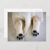 ゴールデンレトリエバーパピー足指 ポストカード (正面/裏面)