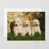 ゴールデンレトリエバーパピー。引っ越しました 案内ポストカード (正面/裏面)