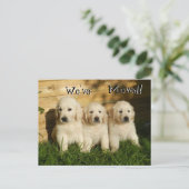 ゴールデンレトリエバーパピー。引っ越しました 案内ポストカード (スタンド正面)