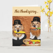 ゴールデンレトリエバーピルムズバウンティサンクスギビング カード (黄色い花)