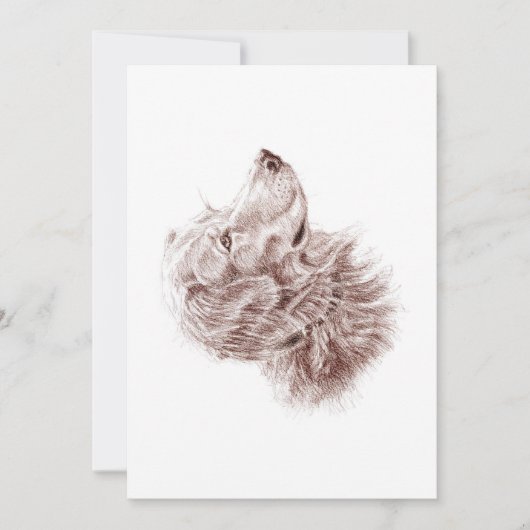 ゴールデンレトリエバーフラットカード (正面)