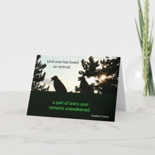 ゴールデンレトリエバーペットの同情カード カード (正面)