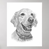 ゴールデンレトリエバーペットポートレートスケッチ ポスター (正面)