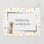 ゴールデンレトリエバーペット悔やみや弔慰ロス ポストカード (正面)