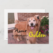 ゴールデンレトリエバーホーム引用文 ポストカード (正面/裏面)