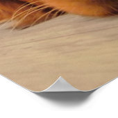 ゴールデンレトリエバーポスター、ノーズ ポスター (角)