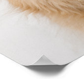 ゴールデンレトリエバーポスター ポスター (角)