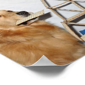 ゴールデンレトリエバーマッツォおもしろいパソバー ポスター (角)