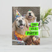 ゴールデンレトリエバーヤイットアザパーティの招待状 招待状 (スタンド正面)