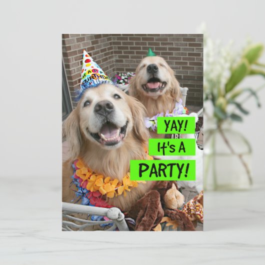 ゴールデンレトリエバーヤイットアザパーティの招待状 招待状 (スタンド正面)