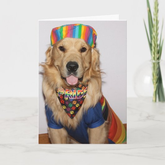 ゴールデンレトリエバーラブズベートウィンズプライド カード (正面)