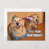 ゴールデンレトリエバーレットパーティー誕生日 インビテーションポストカード (正面/裏面)