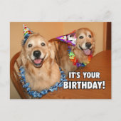 ゴールデンレトリエバーレットパーティー誕生日 インビテーションポストカード (正面)