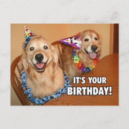ゴールデンレトリエバーレットパーティー誕生日 インビテーションポストカード