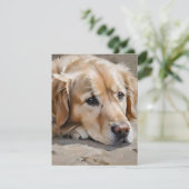 ゴールデンレトリエバー犬F シーズンカード (スタンド正面)