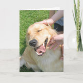 ゴールデンレトリバーあなたがやったおめでとう勇気付けられる カード (正面)