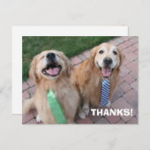 ゴールデンレトリバーありがとう ポストカード (正面/裏面)