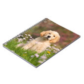 ゴールデンレトリバーかわいいゴルディを操る ノートブック (左側)