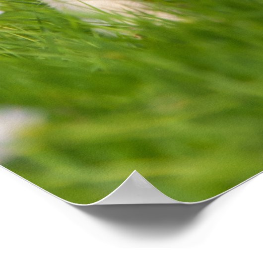 ゴールデンレトリバーかわいいゴルディを操る ポスター (角)