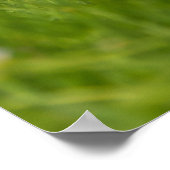 ゴールデンレトリバーかわいいゴルディを操る ポスター (角)