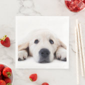 ゴールデンレトリバーかわいい子犬が横たわっていた (インサイチュ)