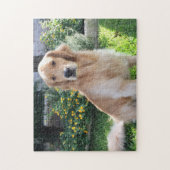 ゴールデンレトリバーかわいい犬の写真フラワーペット ジグソーパズル (縦)