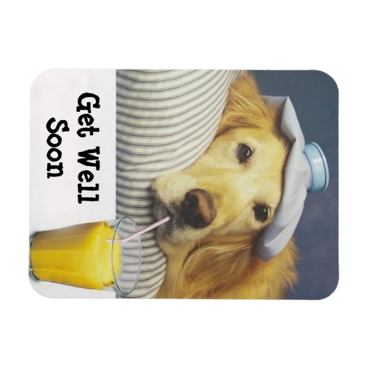 ゴールデンレトリバーがよく柔軟な磁石を得る マグネット (横)