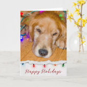 ゴールデンレトリバーがライトでタンブル カード (黄色い花)