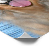 ゴールデンレトリバーが世界を変える ポスター (角)