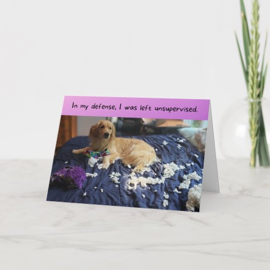 ゴールデンレトリバーが散らかったおもしろい誕生日 カード (正面)