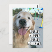 ゴールデンレトリバーが私のサーカスポリッシュ諺ではない ポストカード (正面/裏面)