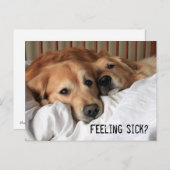 ゴールデンレトリバーが間もなく元気になる ポストカード (正面/裏面)