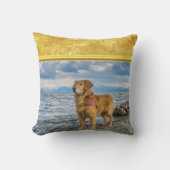 ゴールデンレトリバーが青い海ロッキーに立つ クッション (正面)