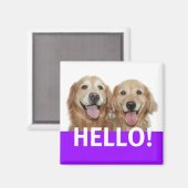 ゴールデンレトリバーこんにちは マグネット (正面/裏面)