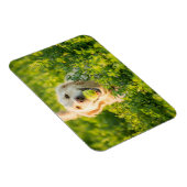 ゴールデンレトリバーとスローガンを持つ冷蔵庫用マグネット マグネット (右側)