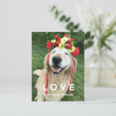 ゴールデンレトリバーとフラワークラウンバレンタインデー シーズンポストカード (スタンド正面)