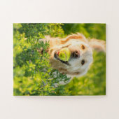 ゴールデンレトリバーとボール ジグソーパズル (横)