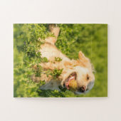 ゴールデンレトリバーとボール ジグソーパズル (横)