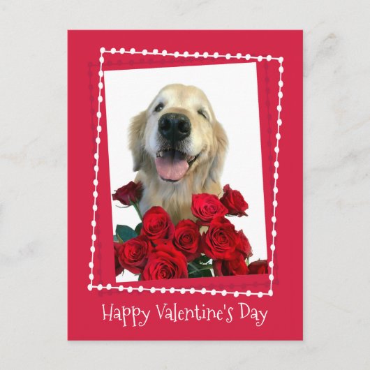 ゴールデンレトリバーと赤いバラのバレンタインデー シーズンポストカード (正面)