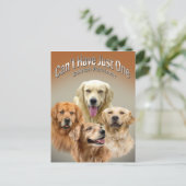 ゴールデンレトリバーのはがきを1枚しか持てない ポストカード (スタンド正面)