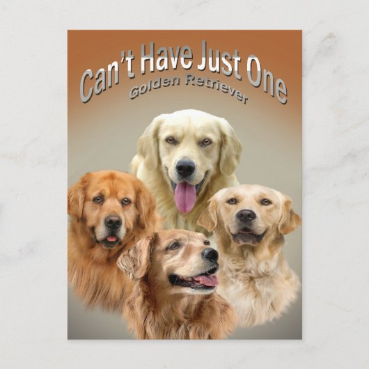 ゴールデンレトリバーのはがきを1枚しか持てない ポストカード (正面)