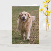 ゴールデンレトリバーのグリーティングカード カード (黄色い花)