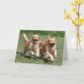 ゴールデンレトリバーのパーティーカード カード (黄色い花)