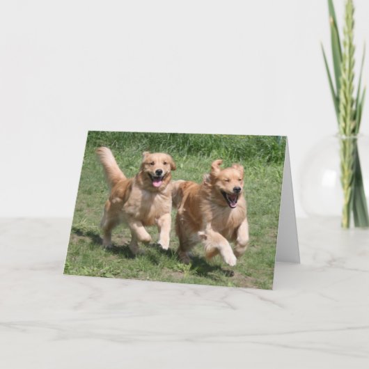 ゴールデンレトリバーのパーティーカード カード (正面)