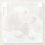 ゴールデンレトリバーのポートレート付きコースター ガラスコースター (裏面)