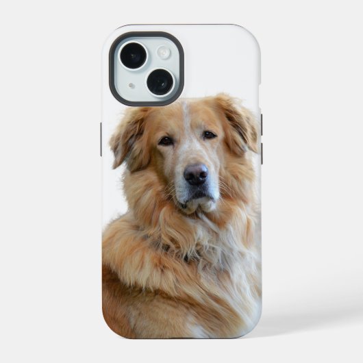 ゴールデンレトリバーの写真 iPhone 15ケース (裏面)